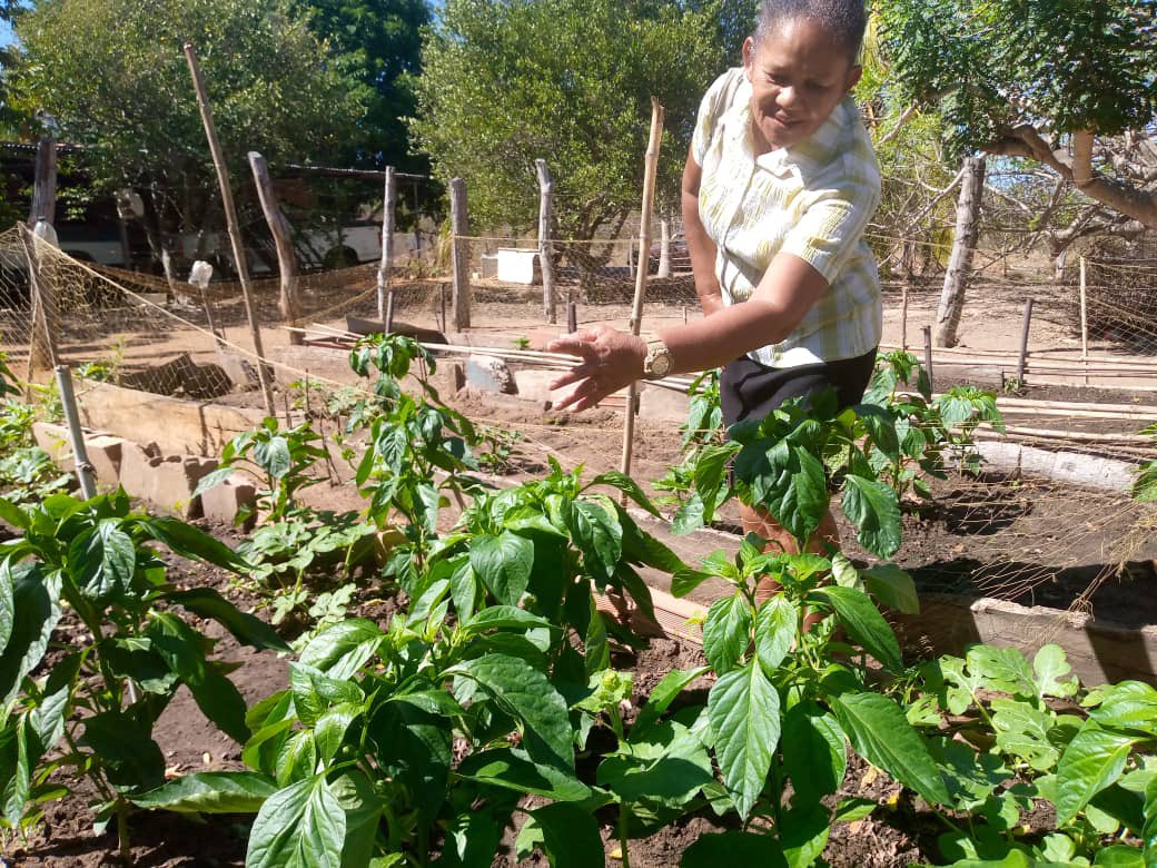 proyecto-medios-de-vida